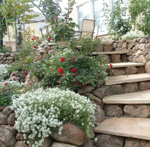 Rock Garden Glory